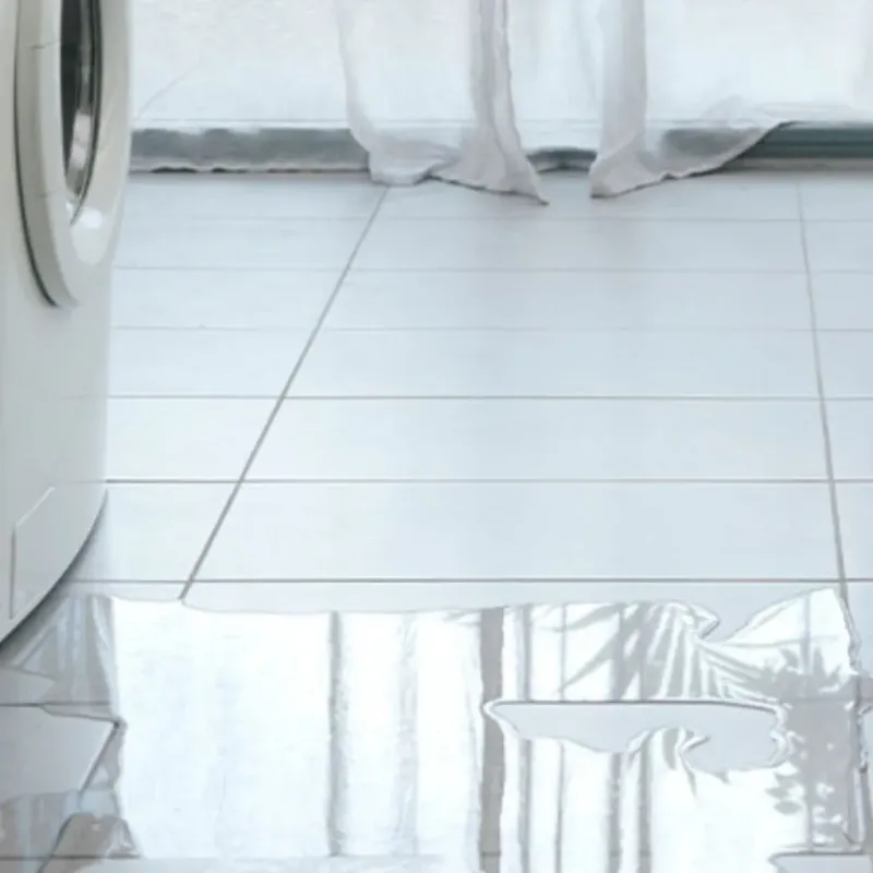 Appliance Leak Cleanup in Taylor County, GA