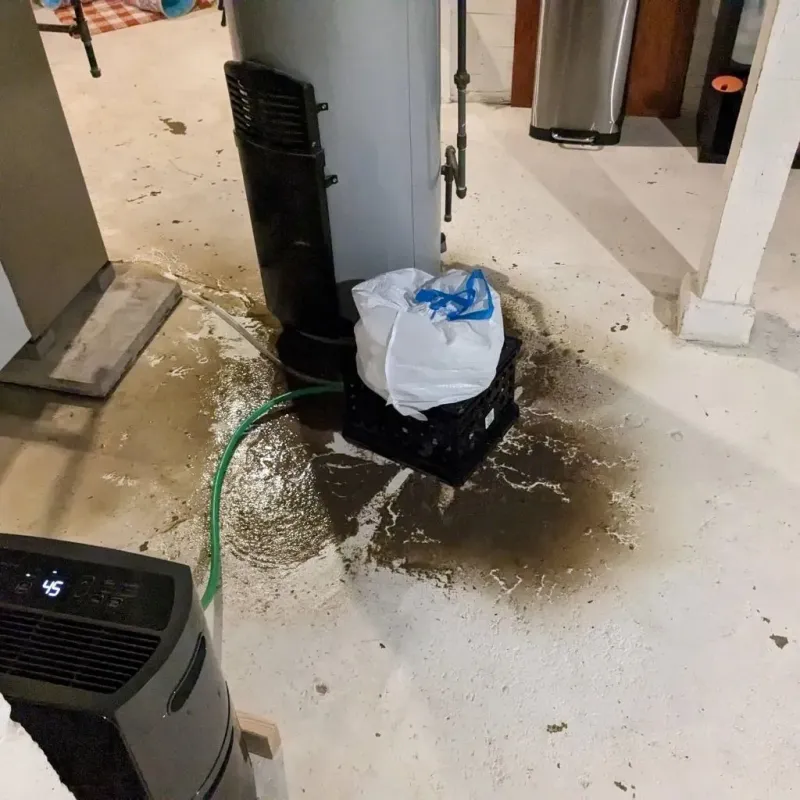Sewage Backup Cleanup Service in Taylor County, GA